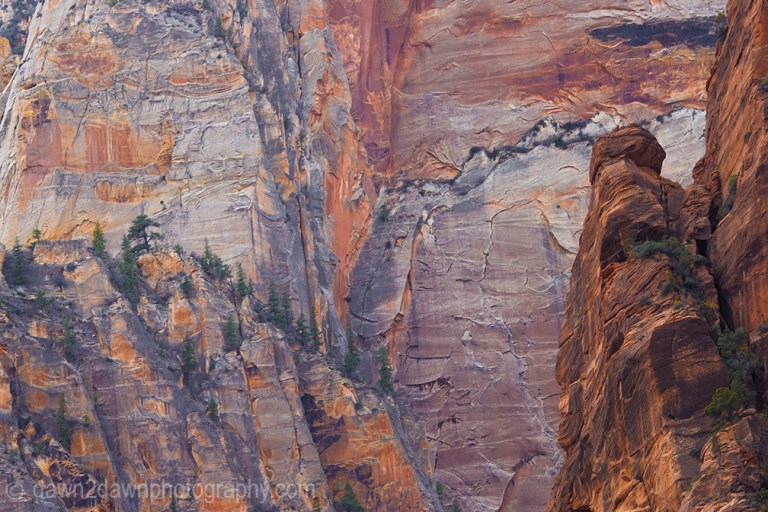 Zion's Colorful Sandstone Walls