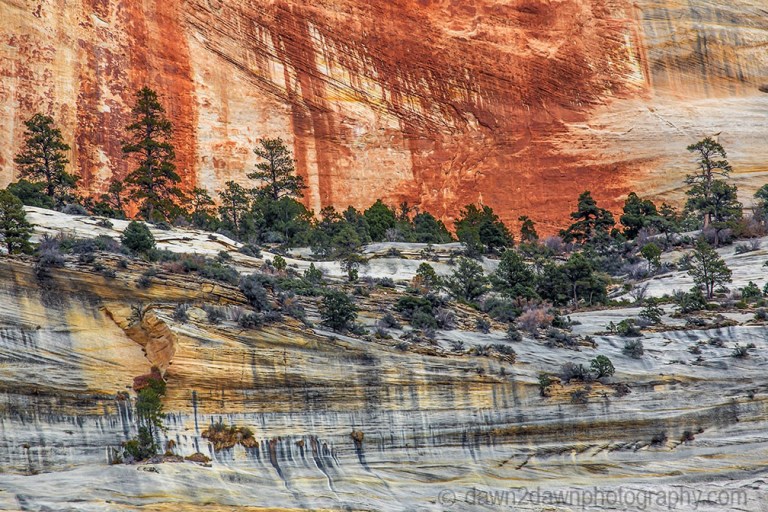 Zion's Colorful Sandstone Walls