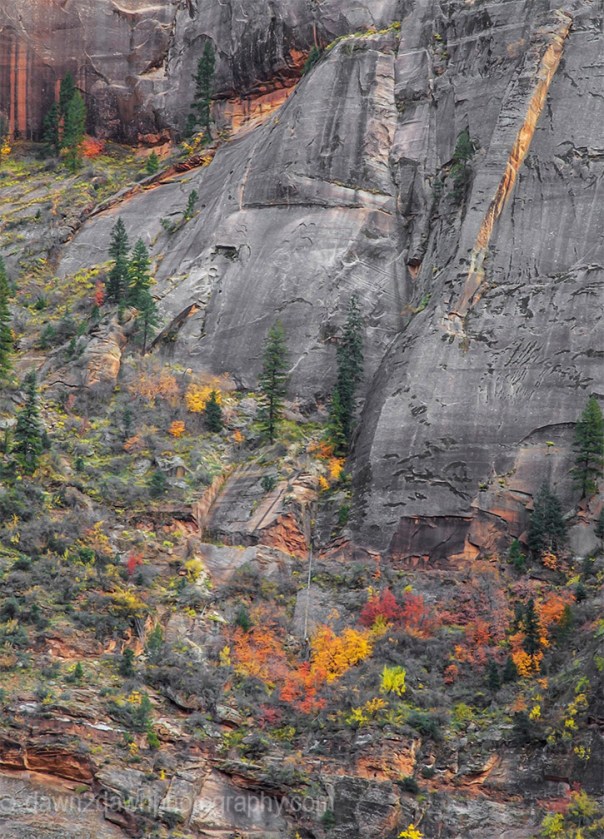 Zion Autumn