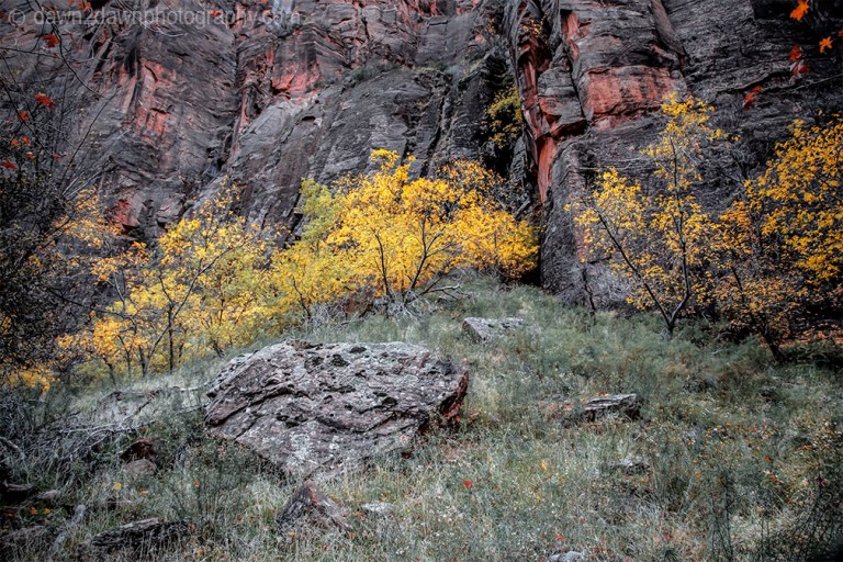 Zion Autumn