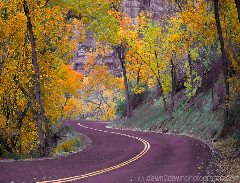 Zion Autumn