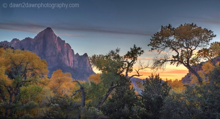 Zion Autumn