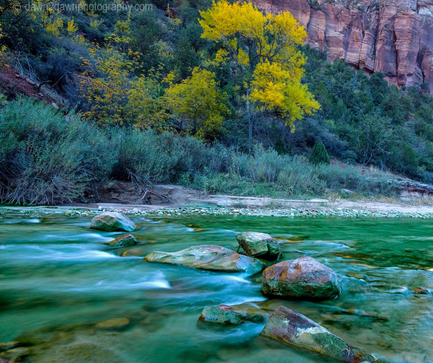 Zion Autumn