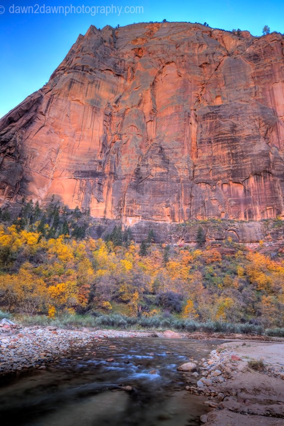 Zion Fall Virgin River