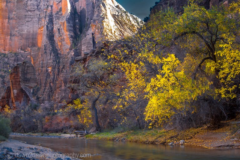 Zion Autumn