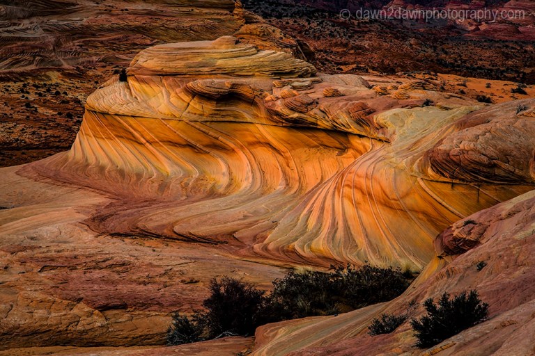 Coyote Buttes The Wave