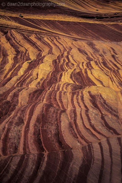 Coyote Buttes North