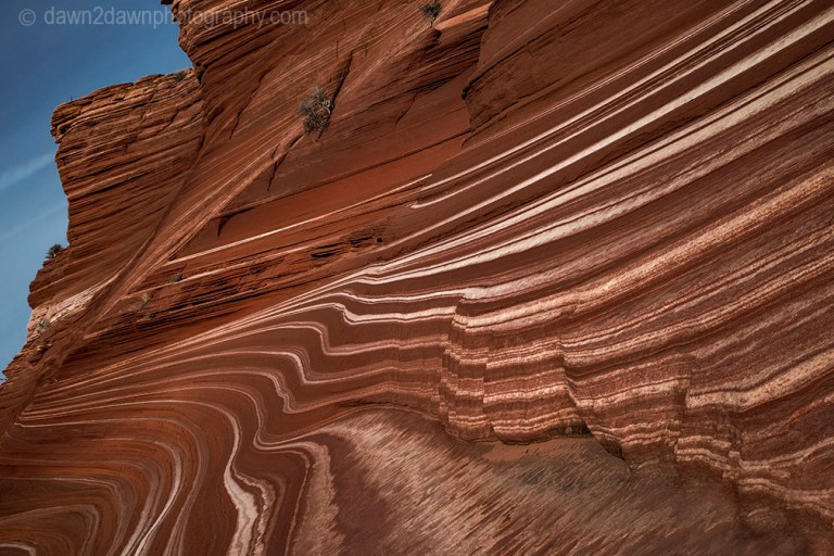 Coyote Buttes Sand Cove