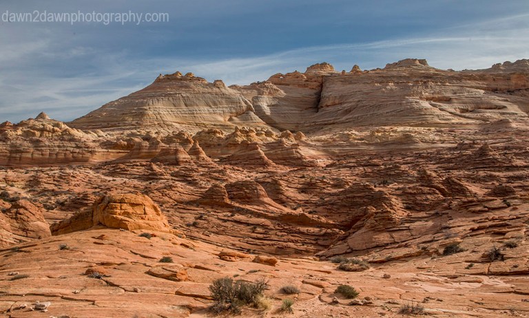 Coyote Buttes The Wave Area_9537