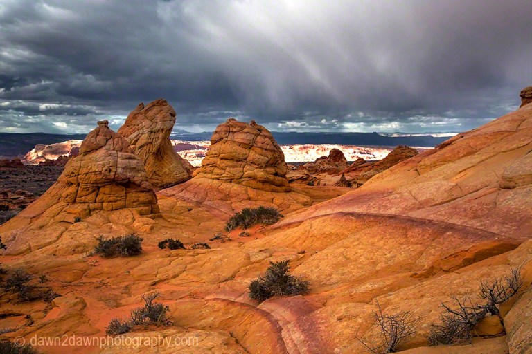 South Coyote Buttes