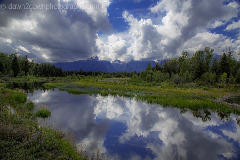 Teton Pond Reflection
