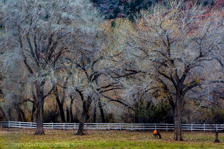 Utah Farm