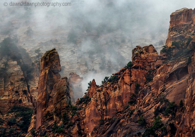 Zion Canyon Fog