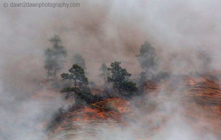 Zion Canyon Fog_8924