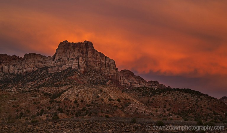 Zion Canyon Sunset