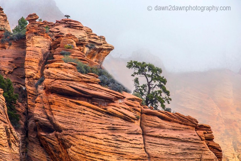 Kolob Terrace Fog