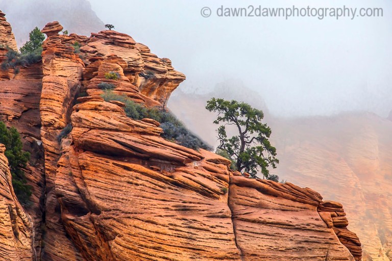 Kolob Terrace Fog
