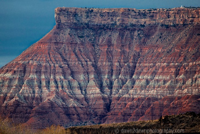 Zion Smith Mesa_8769