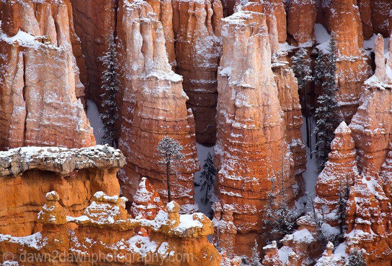 Bryce Canyon Snow