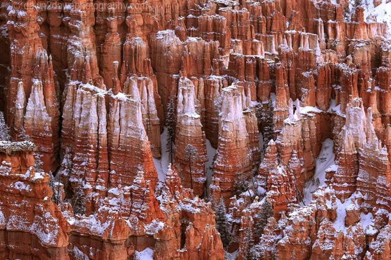 Bryce Canyon Snow