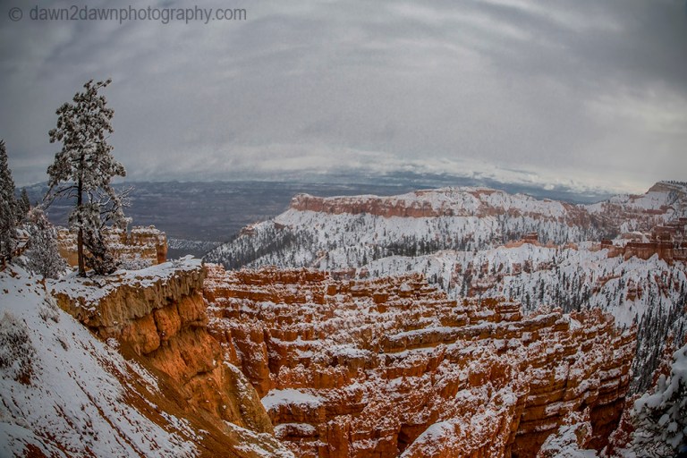 Bryce Canyon Snow
