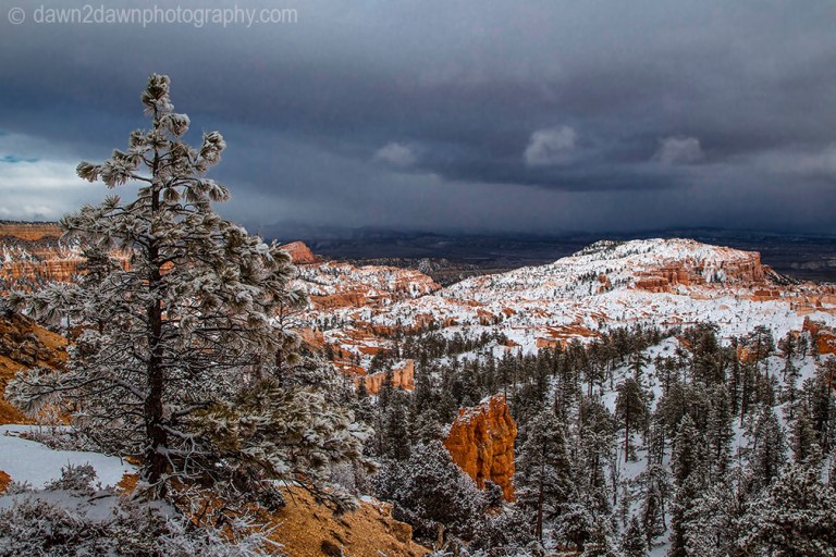 Bryce Canyon Snow