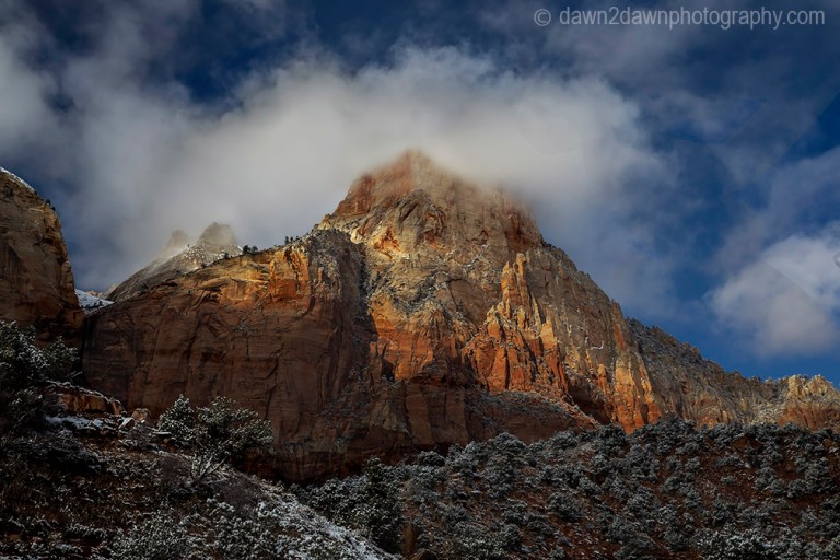 Zion Winter