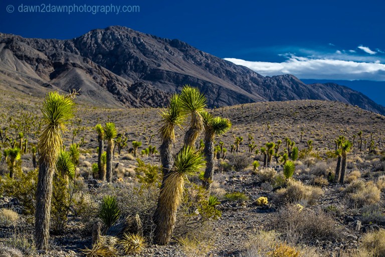 Death Valley Clouds