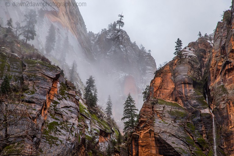 Zion Canyon Waterfall_1725
