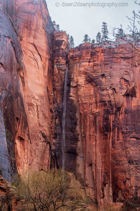 Zion Canyon Waterfall_1733