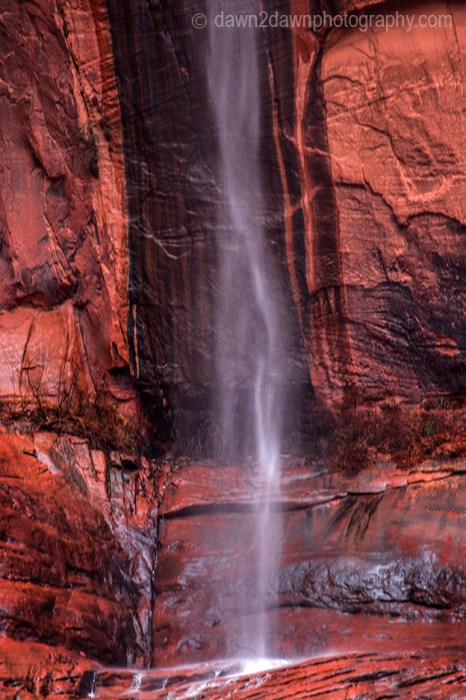 Zion Waterfall