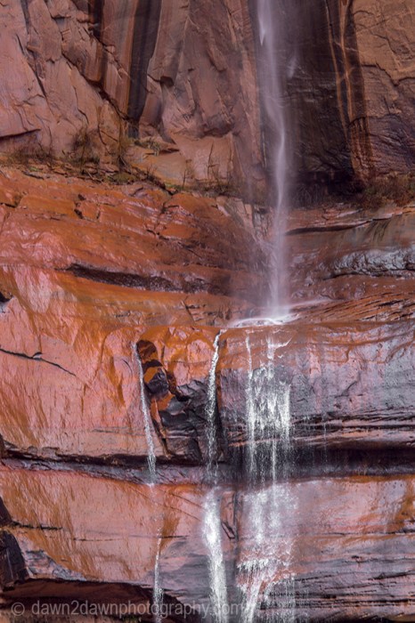 Zion Canyon Waterfall_1751