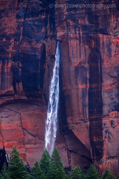 Zion Waterfall