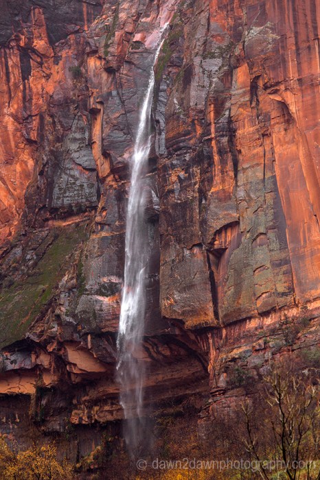 Zion Canyon Waterfall_1762
