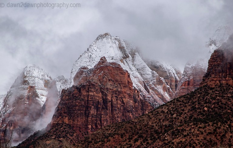 Zion Winter