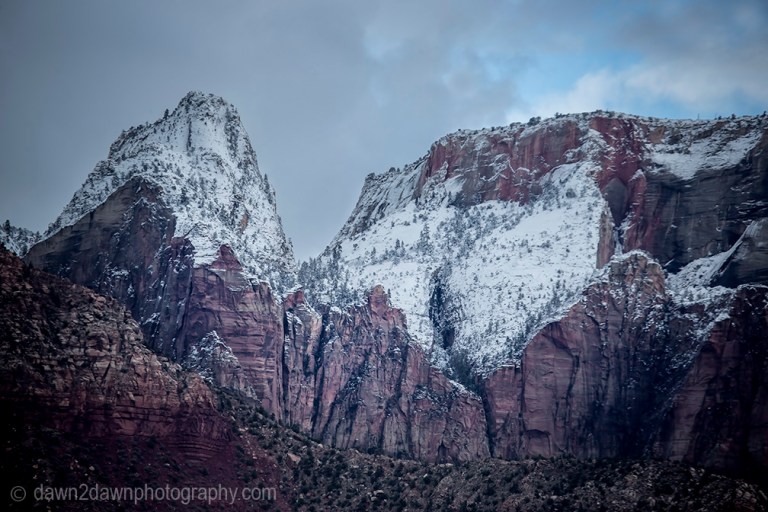 Zion Winter