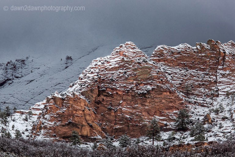 Zion Winter