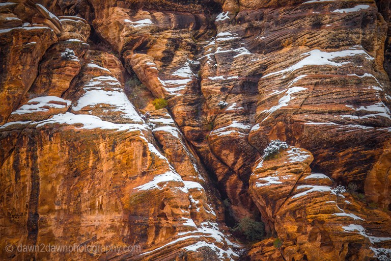 Zion Winter