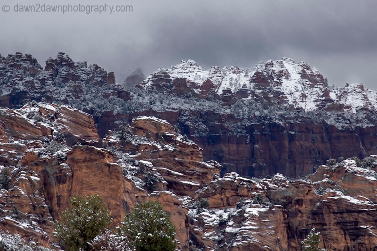 Zion Winter