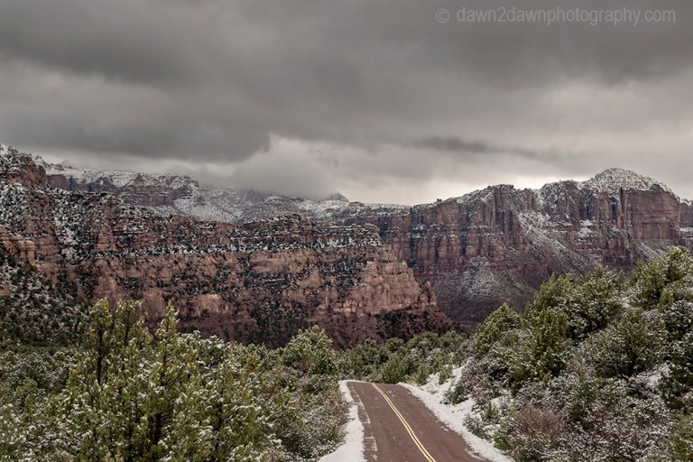Zion Winter