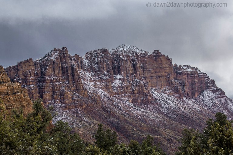 Zion Winter