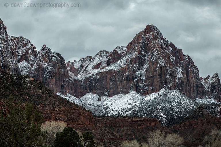 Zion Winter