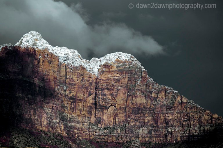 Zion Winter