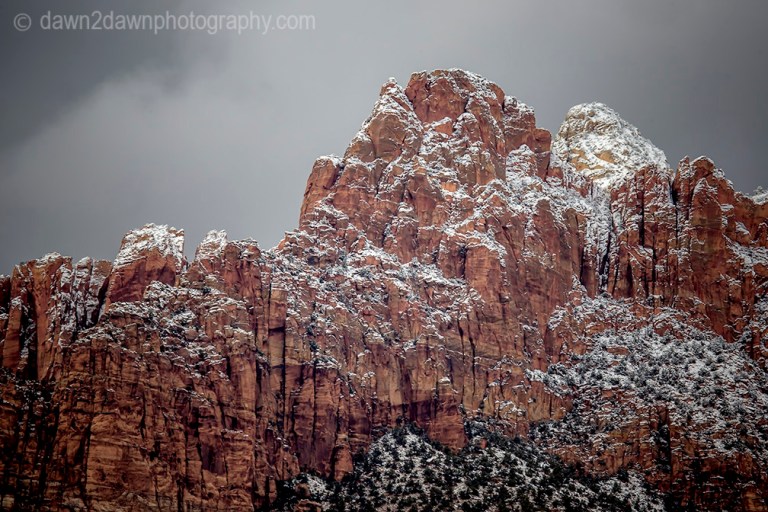 Zion Winter