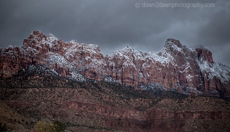 Zion Winter