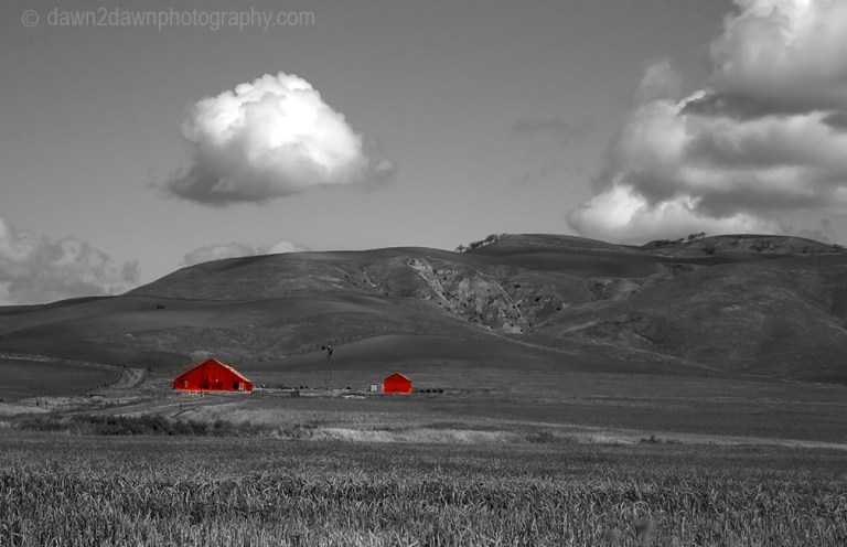 California Farmland