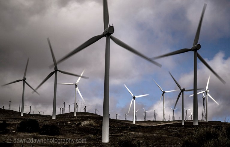 Tehachapi Wind Turbines