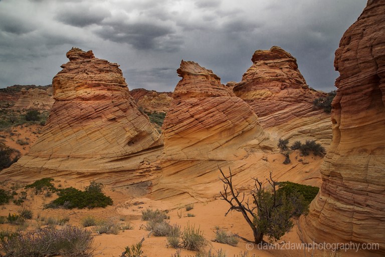 Unusual sandstone rock formations at South Coyote Buttes at Vermillion Cliffs National Monument, Arizona