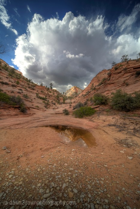 The landscape is reflected in the still waters of the potholes on the Many Pools Trail at Zion National Park, Utah