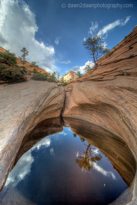 The landscape is reflected in the still waters of the potholes on the Many Pools Trail at Zion National Park, Utah